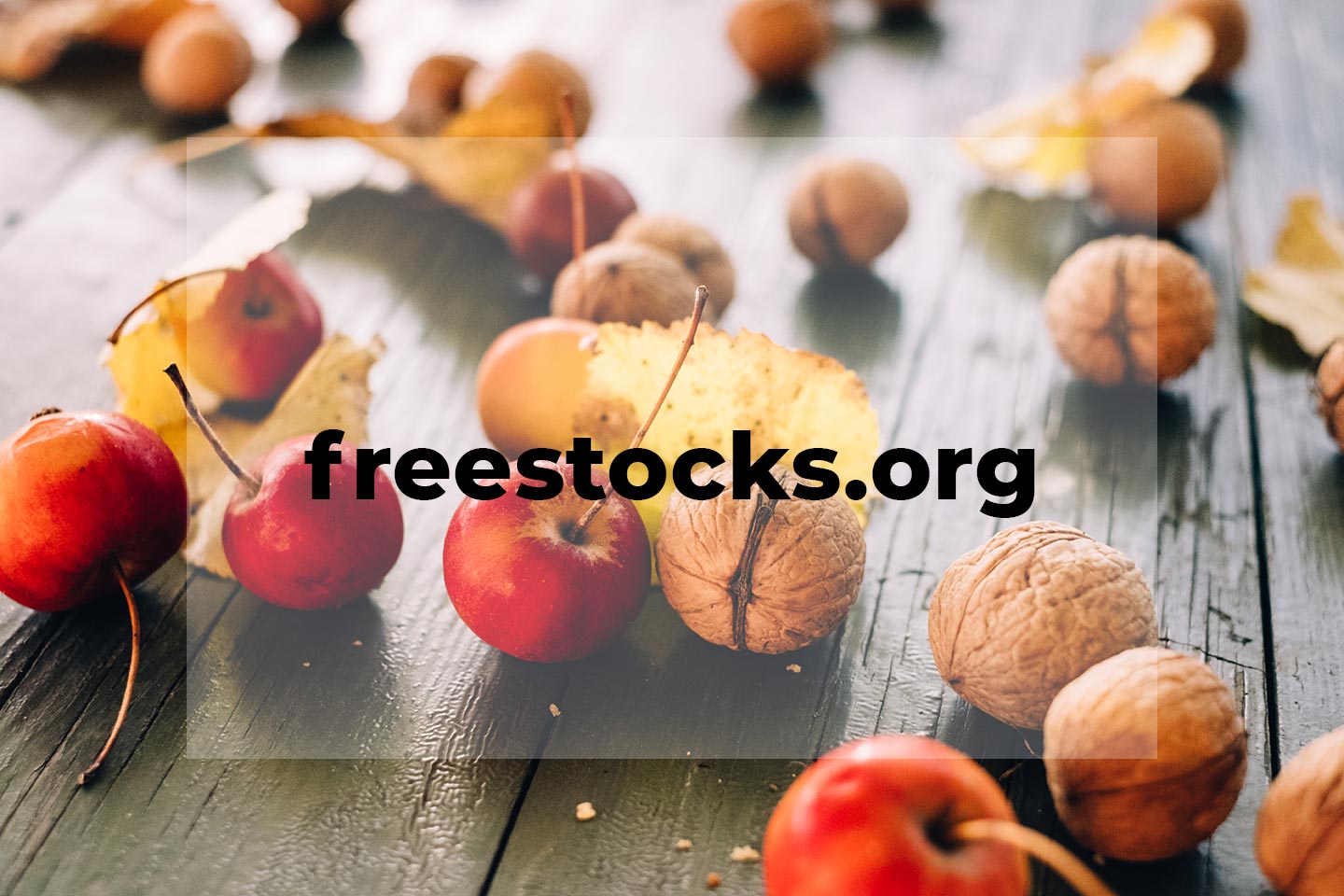 Kostenlose Naturfotos bei Freestocks.org