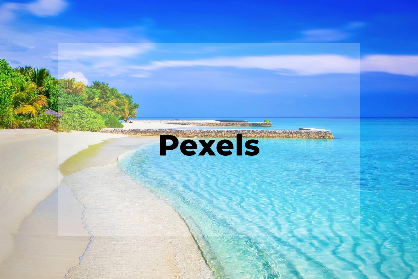 Kostenlose Naturfotos bei Pexels