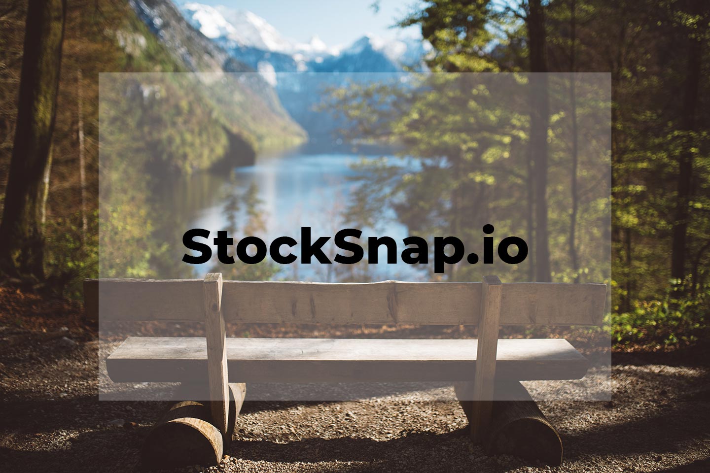 Kostenlose Naturfotos bei StockSnap.io